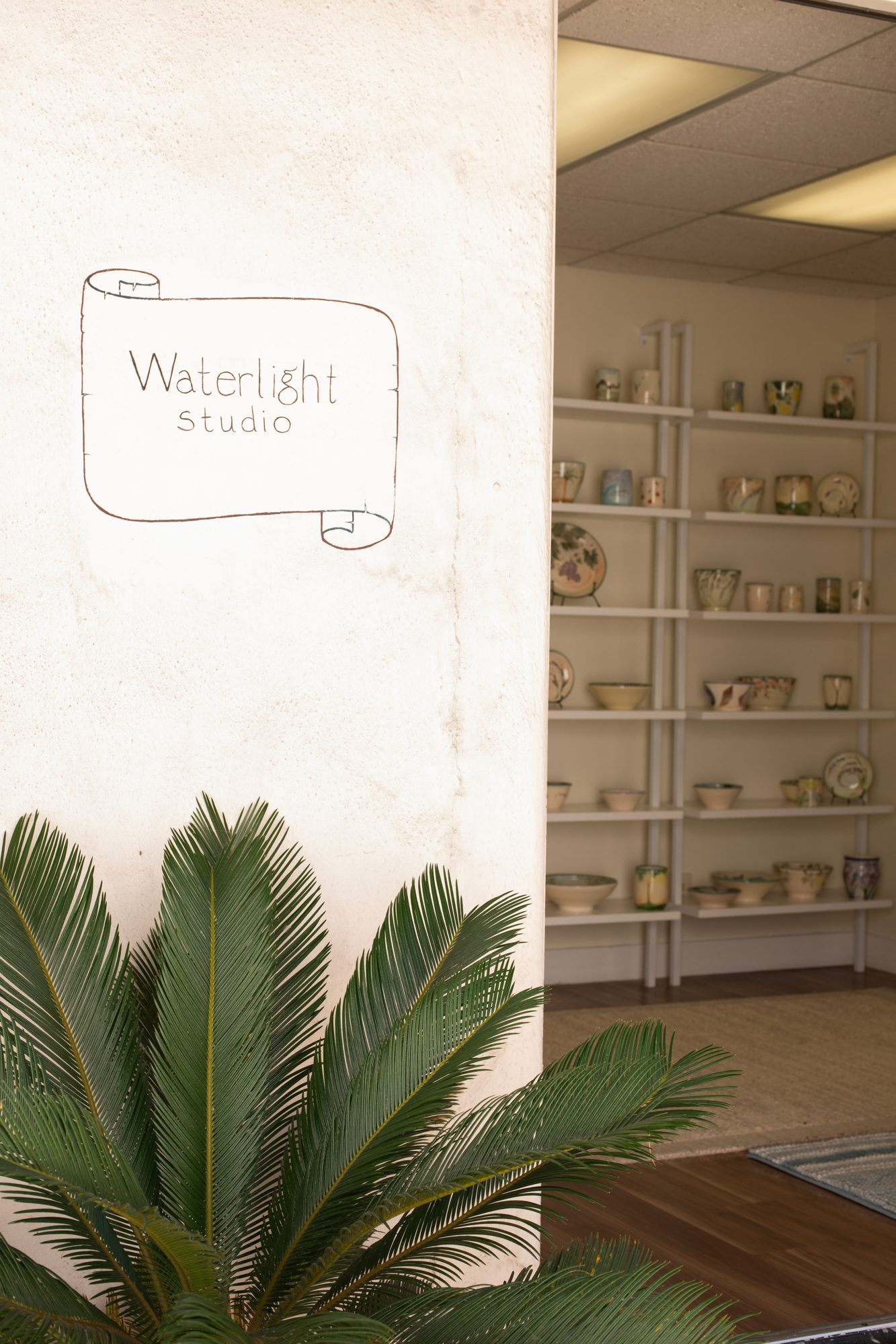 Waterlight Studio sign on the showroom wall beside a palm